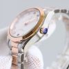 Omega Seamaster Aqua Terra Watch