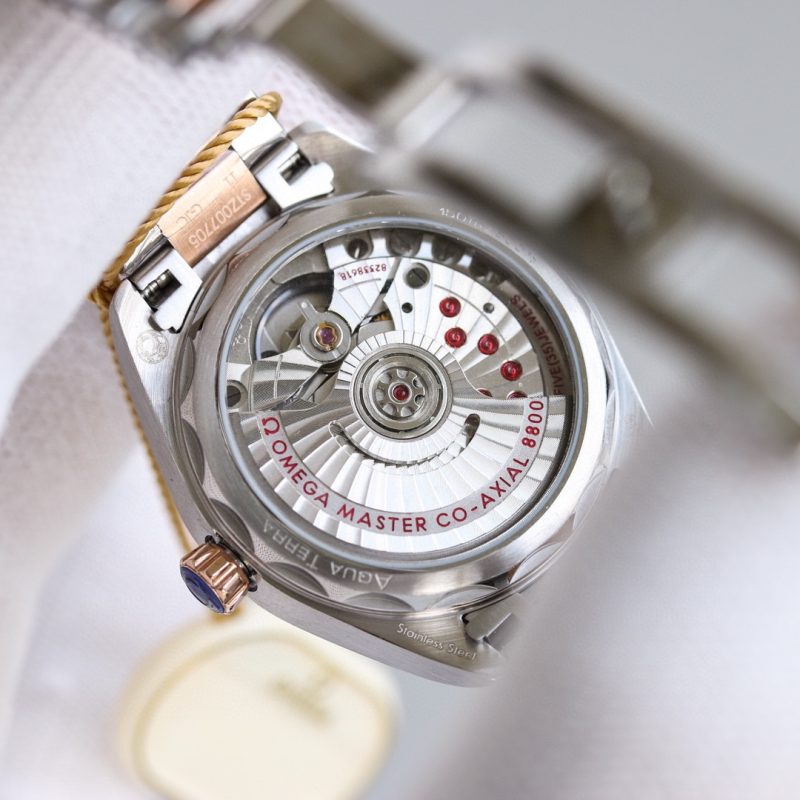 Omega Seamaster Aqua Terra Watch