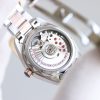 Omega Seamaster Aqua Terra Watch