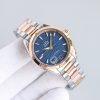 Omega Seamaster Aqua Terra Watch