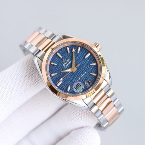 Omega Seamaster Aqua Terra Watch