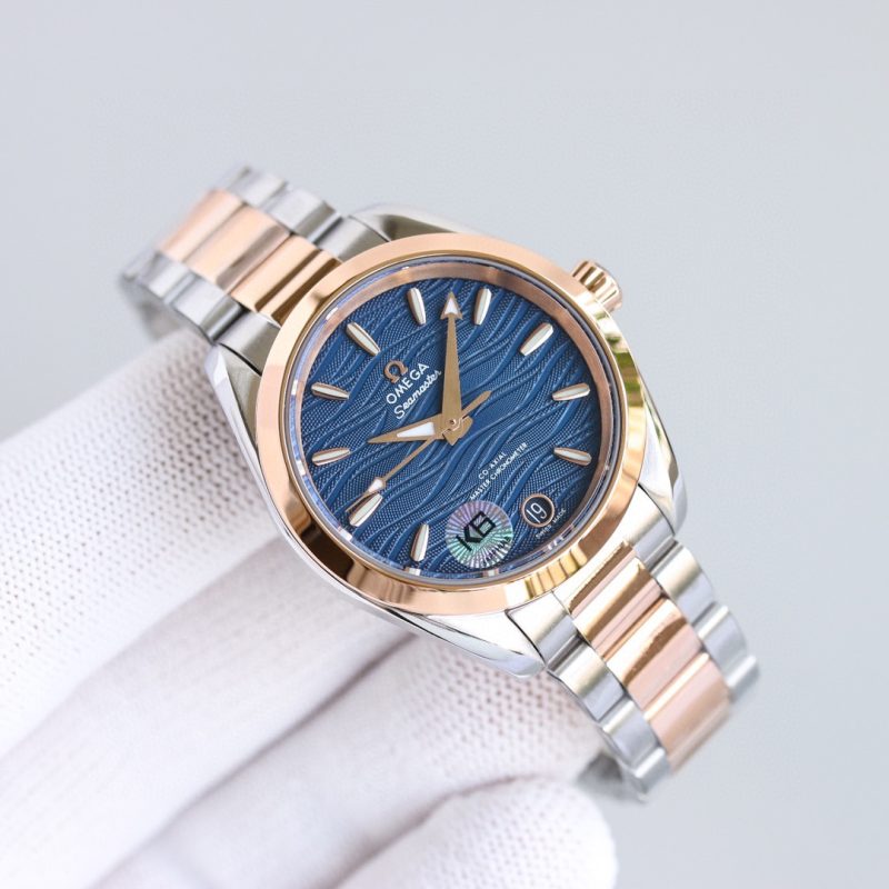 Omega Seamaster Aqua Terra Watch