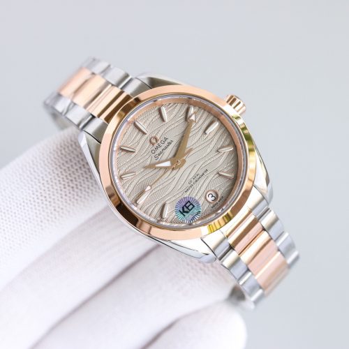 Omega Seamaster Aqua Terra Watch
