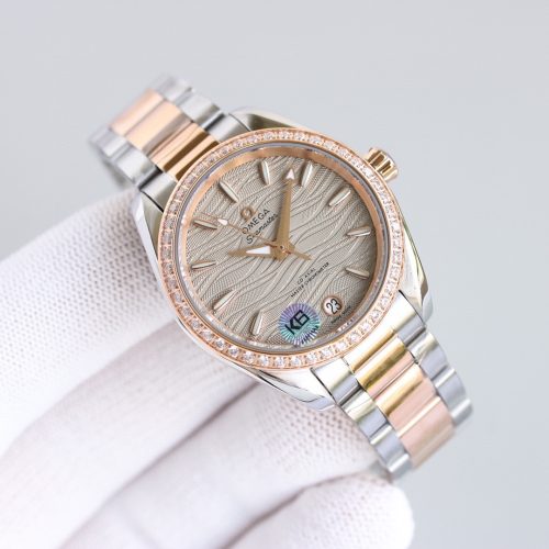 Omega Seamaster Aqua Terra Watch