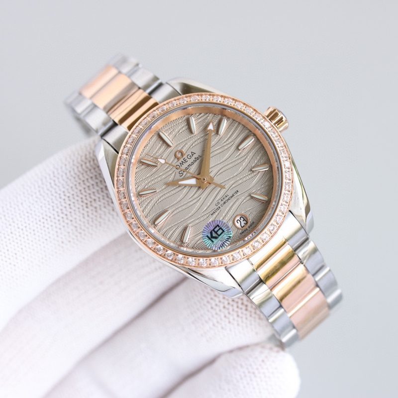 Omega Seamaster Aqua Terra Watch