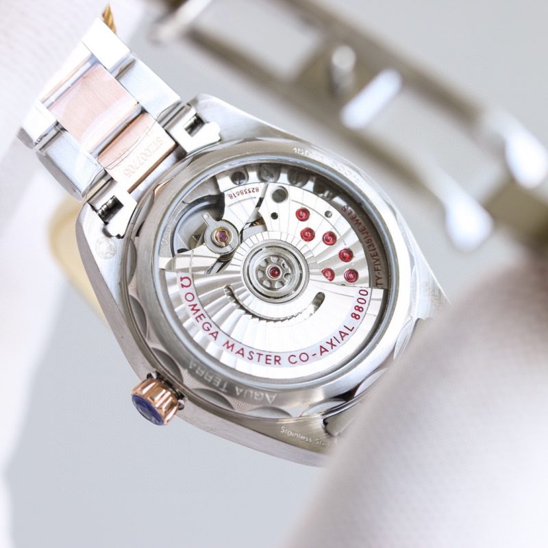 Omega Seamaster Aqua Terra Watch