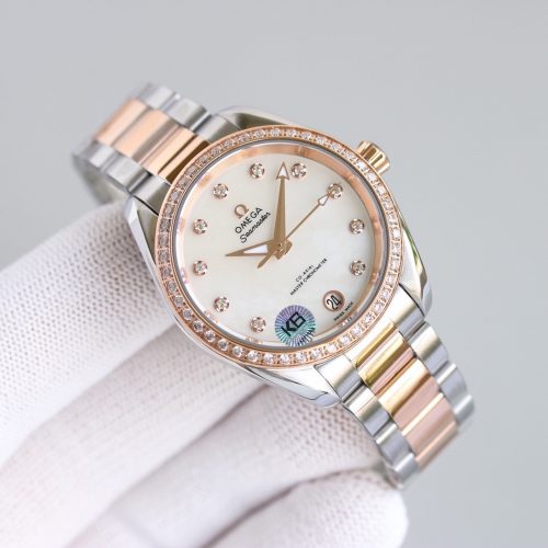 Omega Seamaster Aqua Terra Watch
