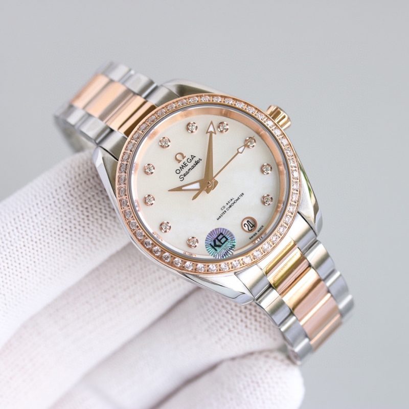 Omega Seamaster Aqua Terra Watch
