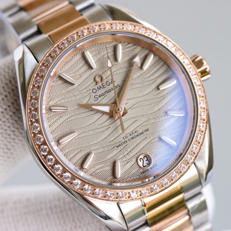 Omega Seamaster Aqua Terra Watch