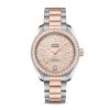 Omega Seamaster Aqua Terra Watch