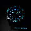 Omega Seamaster Diver 300M James Bond Watch