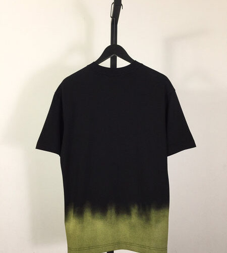 DIOR AND KAWS T-SHIRT - DS073