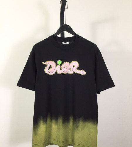 DIOR AND KAWS T-SHIRT - DS073