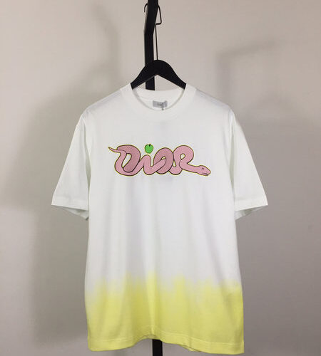 DIOR AND KAWS T-SHIRT - DS074