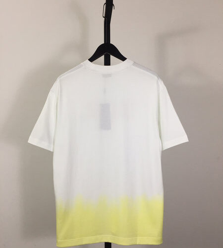 DIOR AND KAWS T-SHIRT - DS074