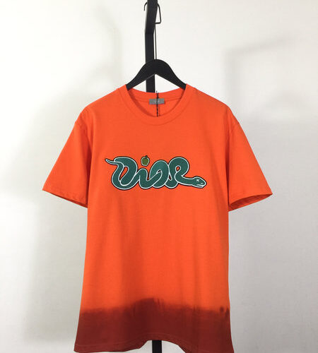 DIOR AND KAWS T-SHIRT